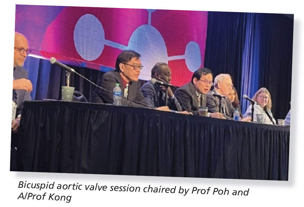 Bicuspid aortic valve session chaired by Prof Poh and A/Prof Kong