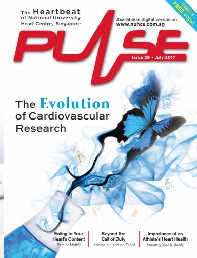 PULSE Issue 29