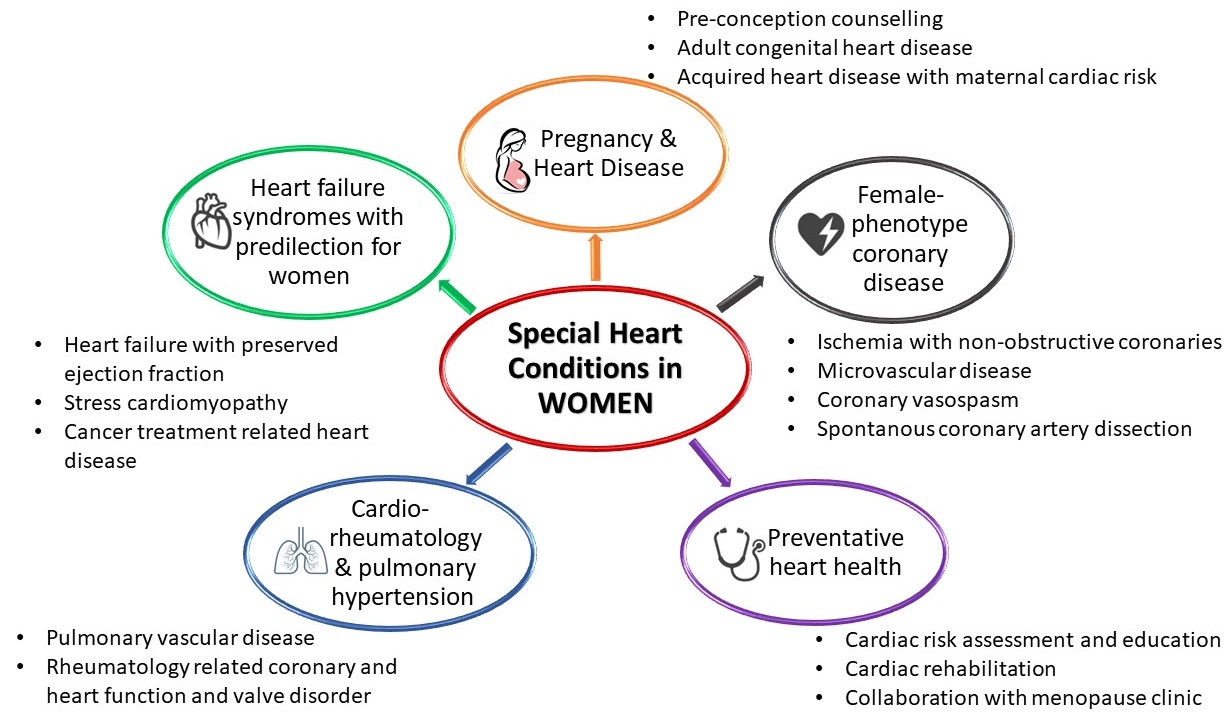 Special Heart Conditions in Women